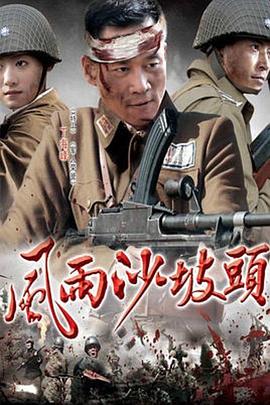 风雨沙坡头第12集