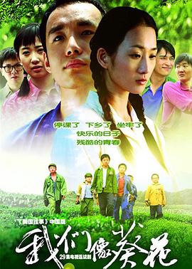 我们像葵花第01集