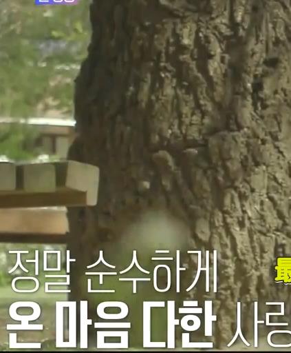 再次初恋20220627期