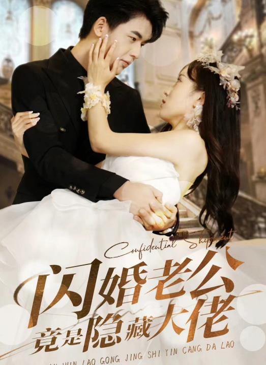 闪婚老公竟是隐藏大佬第34集